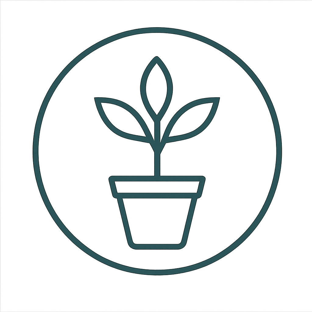 Beginner Plants